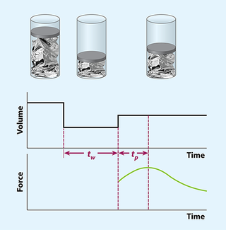 Image: Lahini et al
